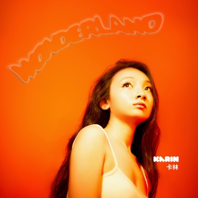 Wonderland (Remix) - Single