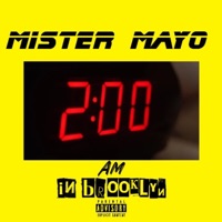 2am In Brooklyn - Single - Mister Mayo