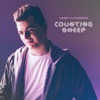 Harry Cleverdon - Counting Sheep