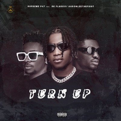 Turn Up (feat. Aaronleethefirst & Sk flakko) - Single