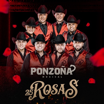 25 Rosas - Single