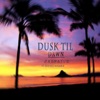 Dusk Til Dawn (Feat. Andrea Rosario) - Single artwork