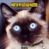 MOST of MY CATS HAD MASTERS (feat. Ramzey) - Single