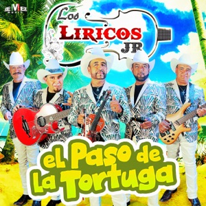 El Paso de la Tortuga