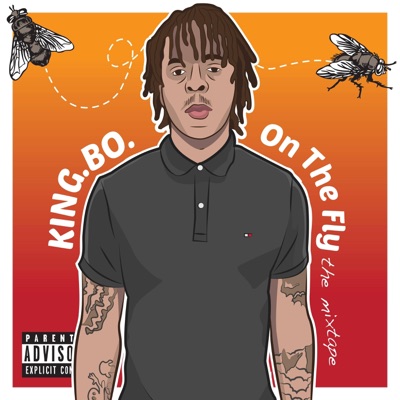 ON THE FLY the mixtape