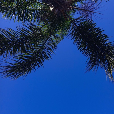 Sentiu Saudade - Single