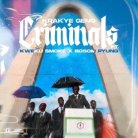 Criminals (feat. Kweku Smoke & Bosom P-yung) - Single - Krakye Geng
