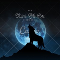 Nou Fé Sa (feat. StormMusic) - Single - Le H
