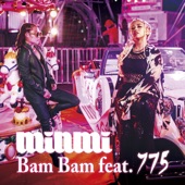 Bam Bam (feat. 775) artwork