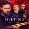 The Meeting (Live) - Single