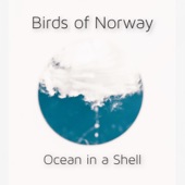 Ocean in a Shell artwork