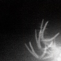 3d0ts - Single - SIL V3 R 100