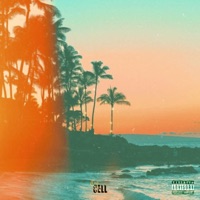 Peace & Love (Radio Edit) - Single - 1cell