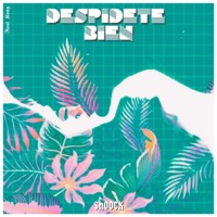 Despidete Bien - Single - Shoock