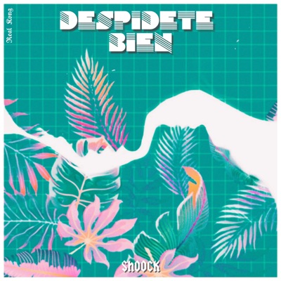 Despidete Bien - Single