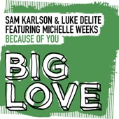 Because of You (Extended Mix) [feat. Michelle Weeks] artwork