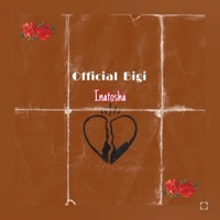 Inatosha - Single - Official Bigi