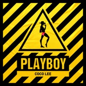 PLAYBOY artwork