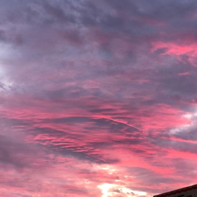 Either Homeless Or Somewhere in Japan - Single