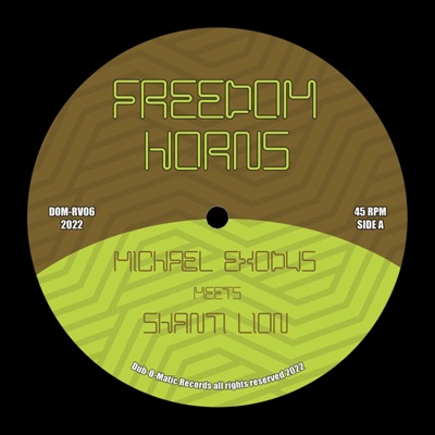 Freedom Horns (feat. Shanti Lion) - Single