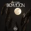 Big Moon
