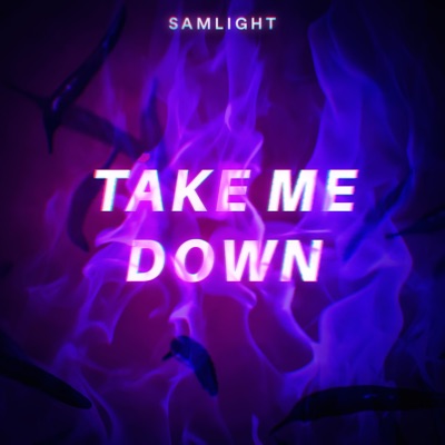 Take Me Down - Single
