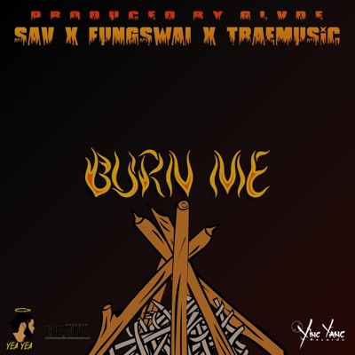 Burn Me (feat. Fung Swai & Trae) - Single