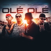 Olé Olé (feat. Ronaldinho Gaúcho) artwork