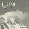 Tibetan Visions