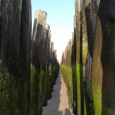 Escucha Alone - Single de DwarphDrag0n.