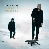 La bonté est bizarre — De Calm