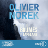 Dans les brumes de Capelans - Olivier Norek