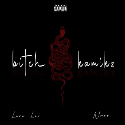 Bitch Kamikz (feat. Noze) - Single
