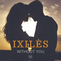 Without you