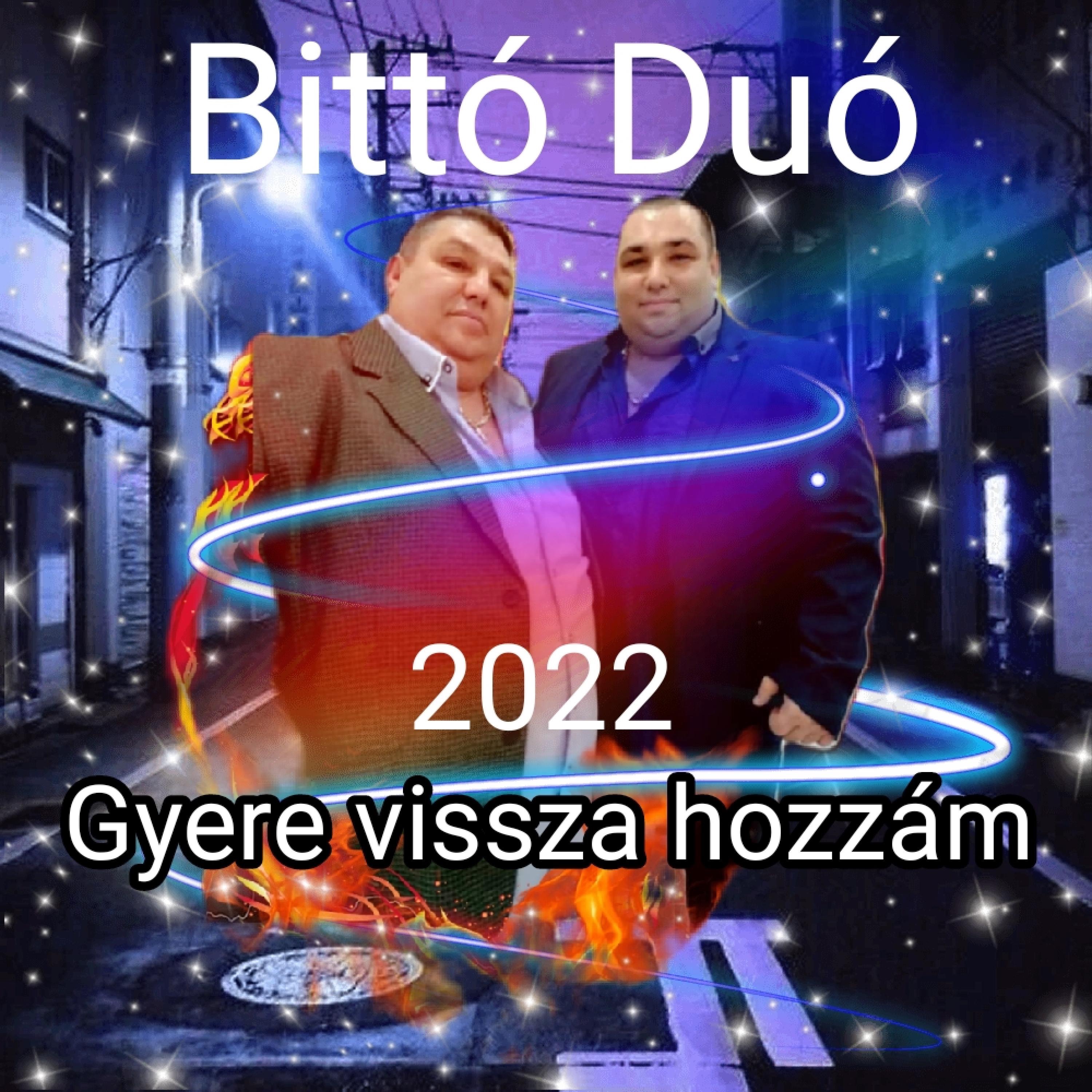 Bittó Duó - Gyere vissza hozzám - Single