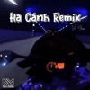 Hạ Cánh (Remix) - Single