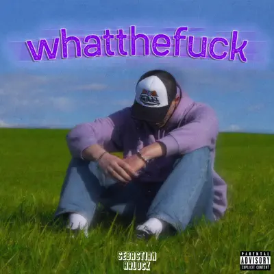 Listen to Whatthefuck - Single by sebastian arlock