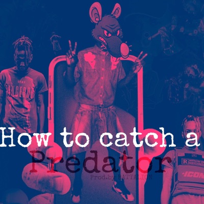 How 2 Catch a Predator