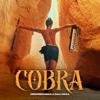 Denorecords - Cobra Sali Okka artwork