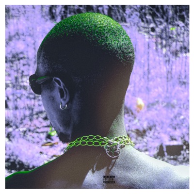 Bill$ Payed (Extended Version) - Single