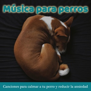 Música para Perros: Canciones para Calmar a Tu Perro y Reducir la Ansiedad