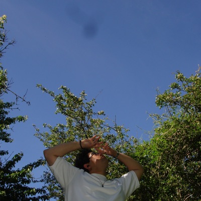 Orange Peel (feat. Charliep_production & OOYAH) - Single