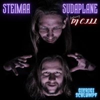 Gierigi Schlümpf (feat. DJ C.ILL) - Single - STEIMAA & Su Da Plane
