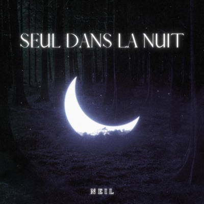 Seul dans la nuit - Single