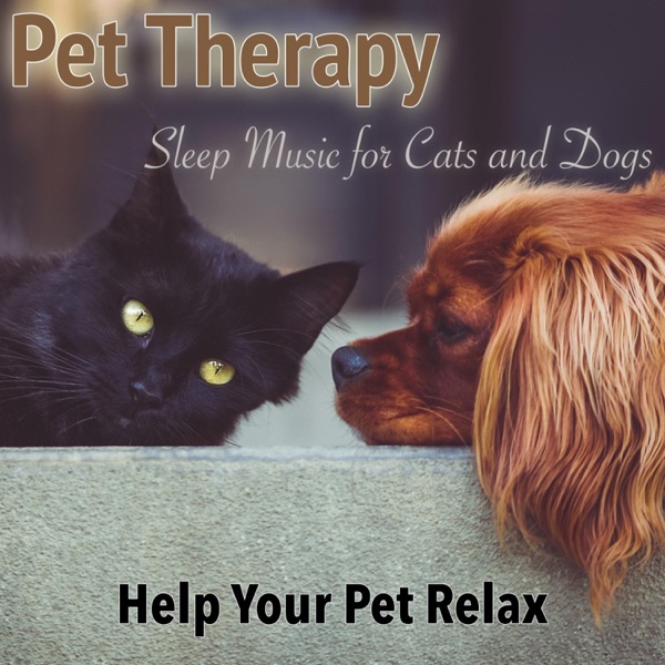 Pet Therapy: Sleep Music for Cats and Dogs (Help Your Pet Relax)