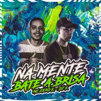 Na Mente Bate a Brisa (feat. DJ K) - Single - Mc Zero K