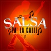 Salsa Pa' La Calle Platinum, 2004