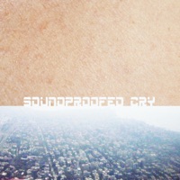 Soundproofed Cry - Dixit Talkers