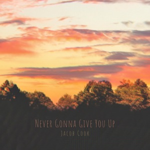 Never Gonna Give You Up - Single