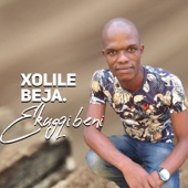 Xolile Beja (Amandwendwe) artwork